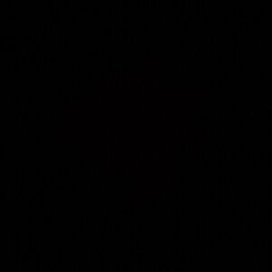 Meet your Posher, Gwendolynn